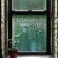 Sunshower Skies [Limited Edition]