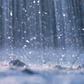 Sunshower Skies [Limited Edition]