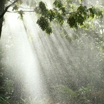 Sunshower Skies [Limited Edition]