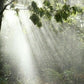 Sunshower Skies [Limited Edition]