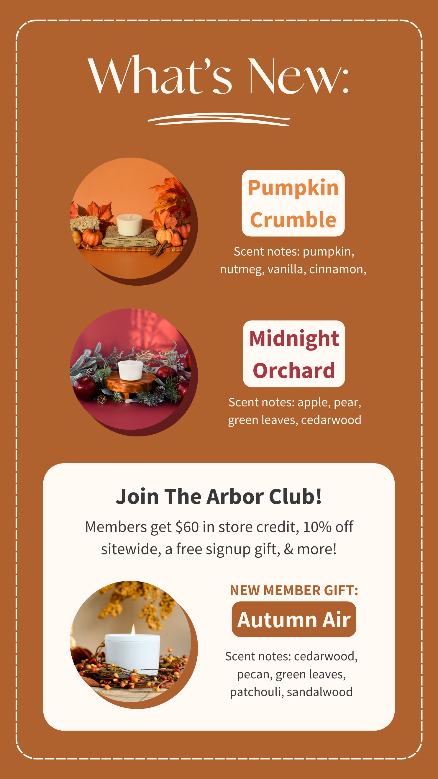 Fall Collection – Arbor Made