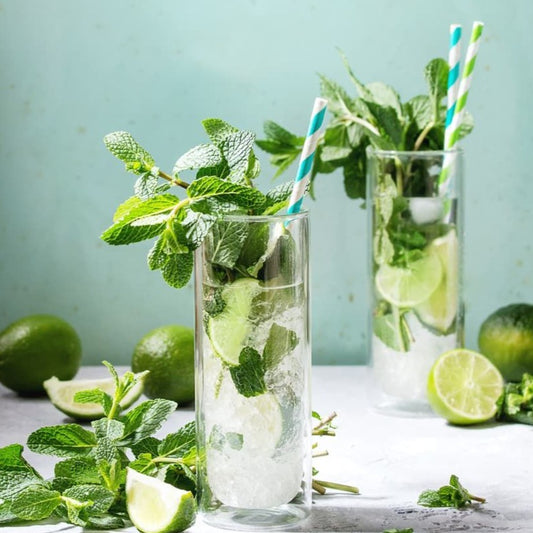 Mint Mojito [Limited Edition]