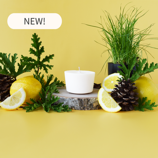 Citronella Nights