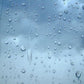 Sunshower Skies [Limited Edition]