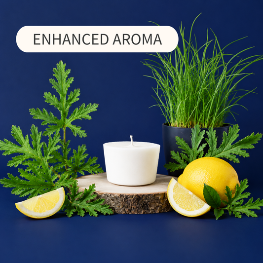 Citronella Nights [Enhanced Aroma]
