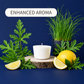 Citronella Nights [Enhanced Aroma]